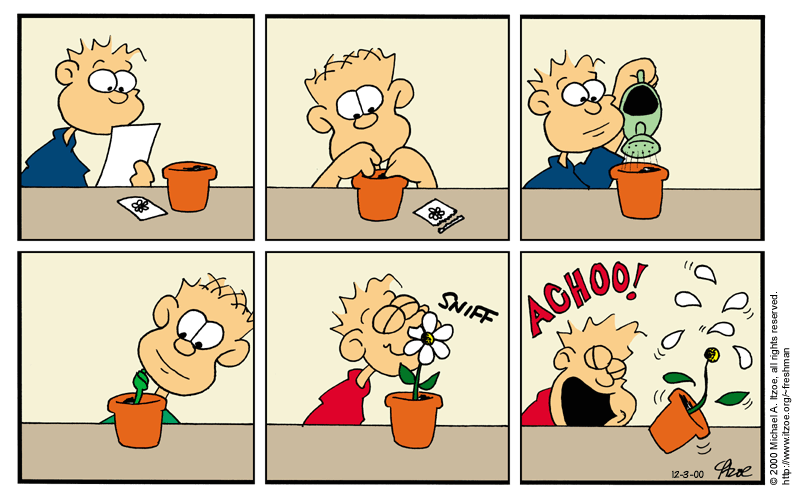 Comic for Sunday, December 3, 2000